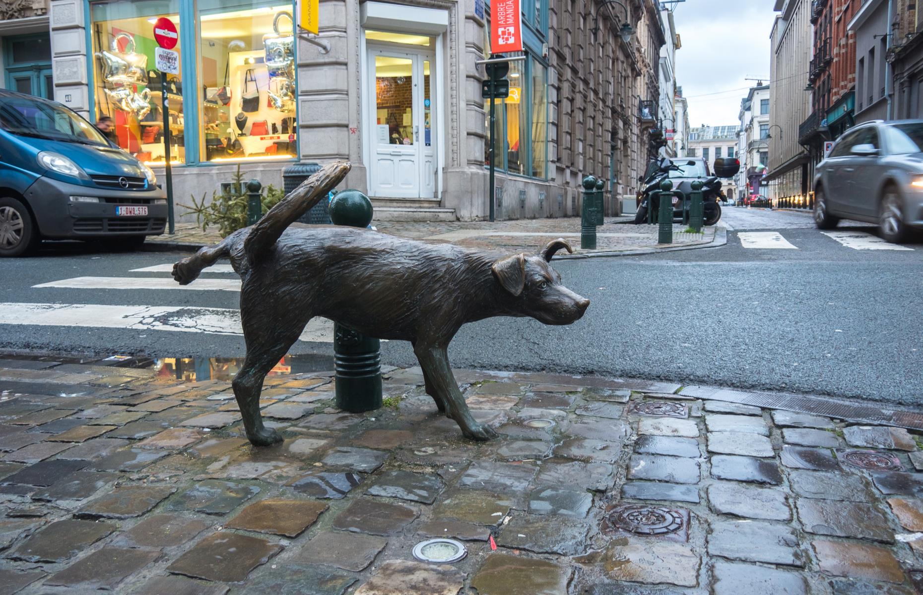 Het Zinneke, Brussels, Belgium